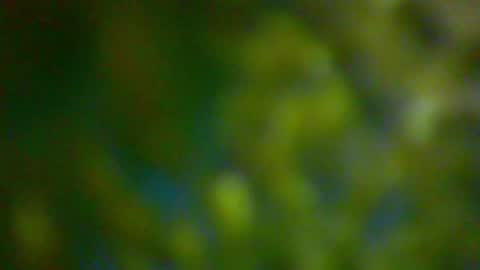 Snapshot of hhhjnf1 chatting on October 6, 2025, 6:16 pm hhhjnf1 online show from October 6, 2025, 6:16 pm