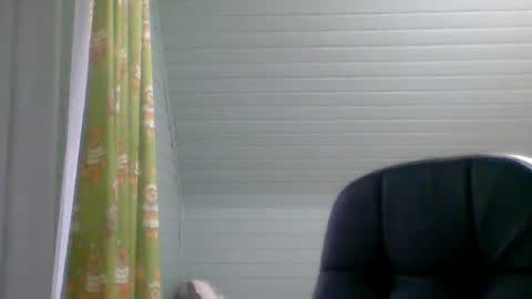 Snapshot of honesttojoy chatting on January 7, 2025, 11:48 am Henry online show from January 7, 2025, 11:48 am