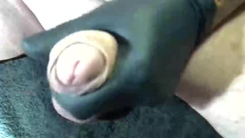 Snapshot of horse_dick9 chatting on September 11, 2025, 11:43 am horse_dick9 online show from September 11, 2025, 11:43 am