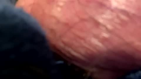 Snapshot of hotdog1124 chatting on January 6, 2025, 1:09 am hotdog1124 online show from January 6, 2025, 1:09 am