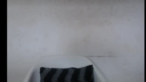 Snapshot of hotjessie0 chatting on October 7, 2025, 5:04 am hotjessie0 online show from October 7, 2025, 5:04 am