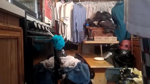 Snapshot of houndmefromhell chatting on December 2, 2024, 10:50 am houndmefromhell online show from December 2, 2024, 10:50 am