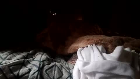 Snapshot of houndmefromhell chatting on December 25, 2024, 4:22 pm houndmefromhell online show from December 25, 2024, 4:22 pm