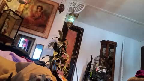 Snapshot of houndmefromhell chatting on March 5, 2025, 9:59 pm houndmefromhell online show from March 5, 2025, 9:59 pm