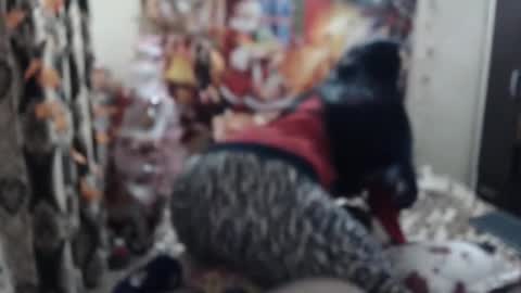 Snapshot of hugeassdevil chatting on January 23, 2025, 5:42 pm hugeassdevil online show from January 23, 2025, 5:42 pm
