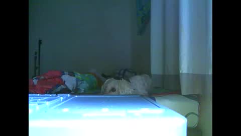 Snapshot of ian_zaenz chatting on November 7, 2025, 7:03 pm Ian is back my loves online show from November 7, 2025, 7:03 pm