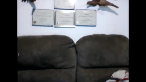 Snapshot of idkwhyidothis348732 chatting on February 11, 2025, 12:05 pm idkwhyidothis348732 online show from February 11, 2025, 12:05 pm