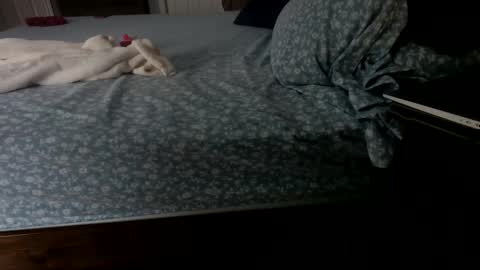 InsatiableCpl333 online show from January 23, 2025, 2:07 pm