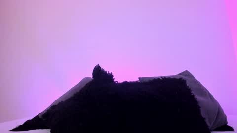 Snapshot of jade_james chatting on December 20, 2024, 1:14 am Mady online show from December 20, 2024, 1:14 am