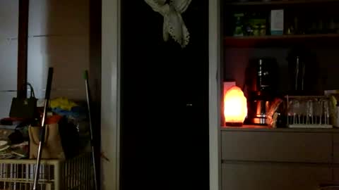 Snapshot of jamesmo820913 chatting on October 25, 2025, 3:58 am jamesmo820913 online show from October 25, 2025, 3:58 am