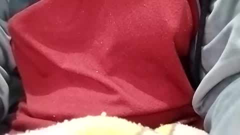 jasspreettt online show from January 30, 2025, 1:55 am