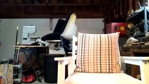 Snapshot of jawssharkparty chatting on October 14, 2025, 3:57 pm Jaws online show from October 14, 2025, 3:57 pm