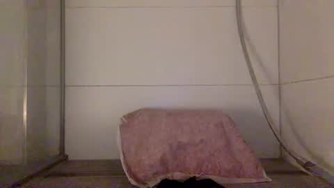 Snapshot of jayzee1996 chatting on October 9, 2025, 8:18 pm Hafte online show from October 9, 2025, 8:18 pm