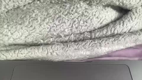 Snapshot of jerking1981 chatting on January 1, 2025, 4:50 pm jerking1981 online show from January 1, 2025, 4:50 pm