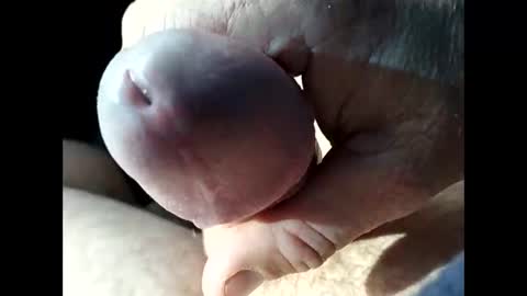 Snapshot of jjbanks57219 chatting on September 23, 2025, 11:08 pm jjbanks57219 online show from September 23, 2025, 11:08 pm