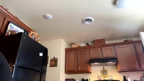 Snapshot of josephung1 chatting on January 17, 2025, 8:22 pm sissy josphine online show from January 17, 2025, 8:22 pm