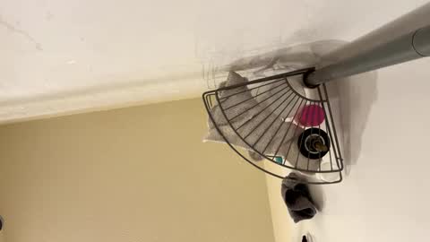 Snapshot of josephung1 chatting on February 15, 2025, 6:23 am sissy josphine online show from February 15, 2025, 6:23 am