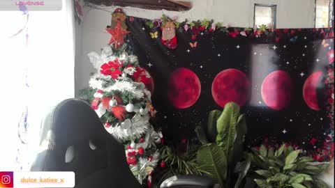 Snapshot of just_katiex chatting on December 31, 2024, 3:20 pm Sofia online show from December 31, 2024, 3:20 pm