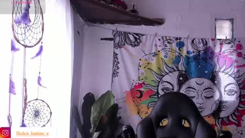 Snapshot of just_katiex chatting on February 10, 2025, 4:25 pm Sofia online show from February 10, 2025, 4:25 pm