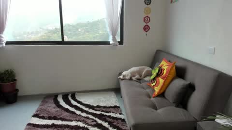 Snapshot of just_katiex chatting on March 7, 2025, 2:34 pm Sofia online show from March 7, 2025, 2:34 pm