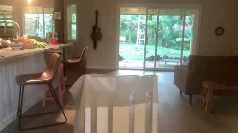 Snapshot of kaileeshy chatting on October 1, 2025, 3:56 am Kailee Smile online show from October 1, 2025, 3:56 am