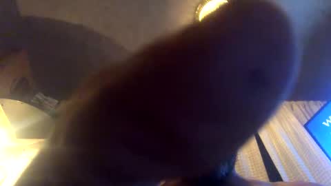 Snapshot of kaneisyours2420 chatting on September 23, 2025, 8:06 am Tucker online show from September 23, 2025, 8:06 am