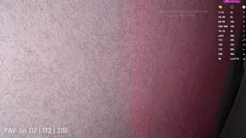 Snapshot of katrin_fox chatting on December 25, 2024, 12:16 am pvt open online show from December 25, 2024, 12:16 am