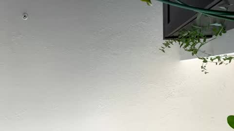 Snapshot of keepquietj chatting on January 17, 2025, 7:38 pm keepquietj online show from January 17, 2025, 7:38 pm