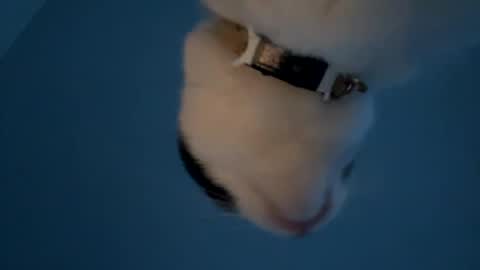 Snapshot of keepquietj chatting on January 20, 2025, 12:25 am keepquietj online show from January 20, 2025, 12:25 am