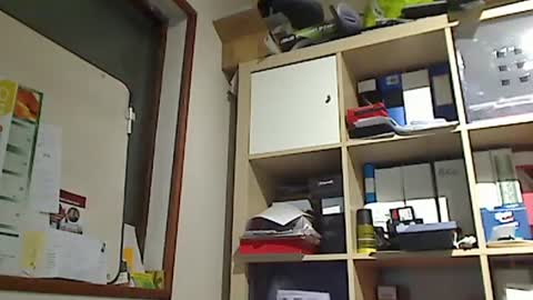 Snapshot of kokin3034 chatting on January 8, 2025, 1:20 pm kokin3034 online show from January 8, 2025, 1:20 pm