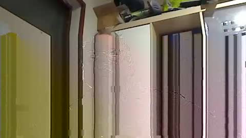 Snapshot of kokin3034 chatting on February 22, 2025, 8:40 am kokin3034 online show from February 22, 2025, 8:40 am