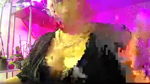 Snapshot of lady_gloria chatting on January 4, 2025, 3:40 am Lady Gloria online show from January 4, 2025, 3:40 am