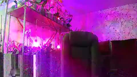 Snapshot of lady_gloria chatting on February 15, 2025, 12:54 pm Lady Gloria online show from February 15, 2025, 12:54 pm