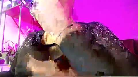 Snapshot of lady_gloria chatting on February 16, 2025, 4:53 am Lady Gloria online show from February 16, 2025, 4:53 am