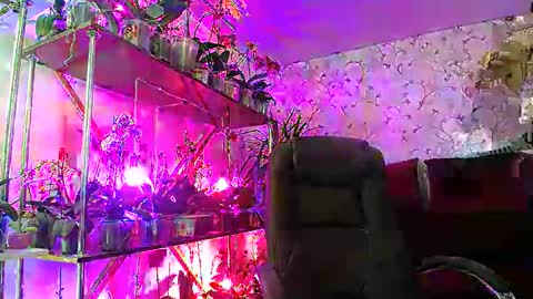 Snapshot of lady_gloria chatting on February 22, 2025, 8:40 am Lady Gloria online show from February 22, 2025, 8:40 am