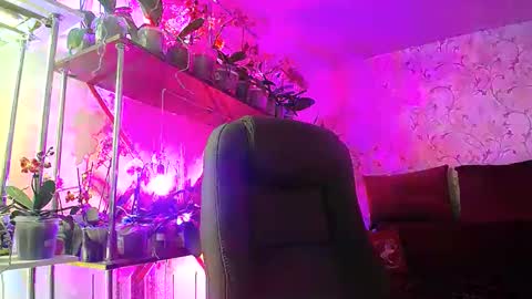 Snapshot of lady_gloria chatting on March 5, 2025, 12:11 pm Lady Gloria online show from March 5, 2025, 12:11 pm