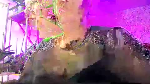 Snapshot of lady_gloria chatting on October 25, 2025, 7:38 am Lady Gloria online show from October 25, 2025, 7:38 am