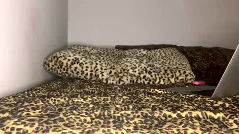 Snapshot of laycee69 chatting on September 18, 2025, 4:14 am Laycee Layne online show from September 18, 2025, 4:14 am