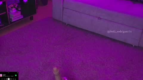 Snapshot of liaa_rodriguezz chatting on February 19, 2025, 2:55 am Liaa online show from February 19, 2025, 2:55 am