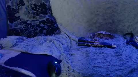 Snapshot of linkcd chatting on March 10, 2025, 9:53 am CandyPop online show from March 10, 2025, 9:53 am