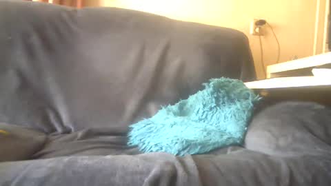 Snapshot of lion160868 chatting on February 3, 2025, 10:14 am lion160868 online show from February 3, 2025, 10:14 am