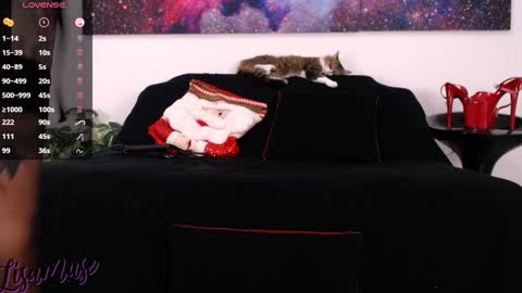 Snapshot of lisamusee chatting on December 24, 2024, 7:11 pm Lisamuse online show from December 24, 2024, 7:11 pm