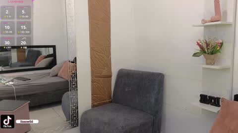 Snapshot of lissawild_ chatting on January 23, 2025, 11:15 pm ss  online show from January 23, 2025, 11:15 pm