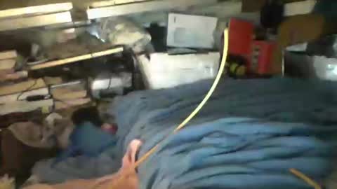 Snapshot of littlejay4773 chatting on October 4, 2025, 7:17 am littlejay             littlejay online show from October 4, 2025, 7:17 am