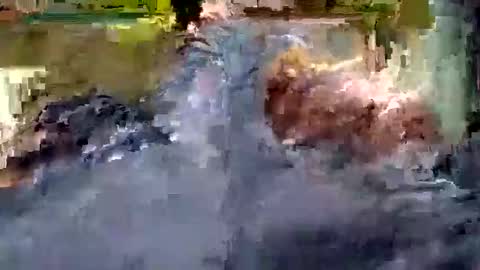 Snapshot of luis_hunk chatting on October 22, 2025, 10:59 am Andrew online show from October 22, 2025, 10:59 am