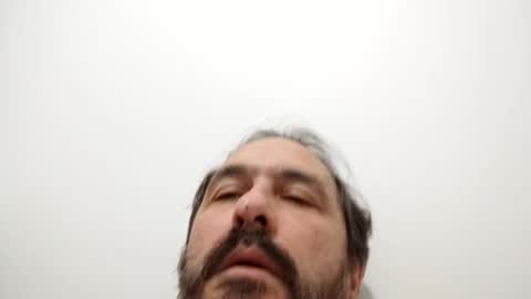 Snapshot of luluberlu042 chatting on January 8, 2025, 2:35 pm Ludo online show from January 8, 2025, 2:35 pm