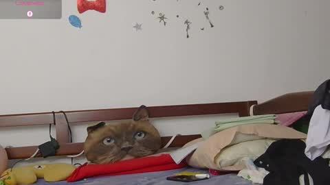 Snapshot of lunamoon_17 chatting on November 12, 2025, 6:41 pm LUNA online show from November 12, 2025, 6:41 pm