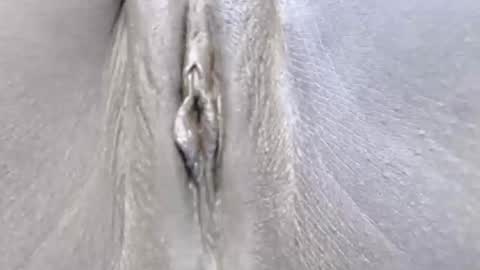 Snapshot of lyiajee chatting on October 14, 2025, 7:09 am lyiajee online show from October 14, 2025, 7:09 am