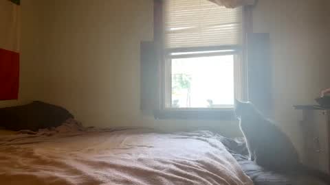 Snapshot of mainecollegeboy chatting on February 26, 2025, 1:19 pm mainecollegeboy online show from February 26, 2025, 1:19 pm