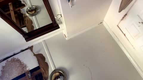 Snapshot of mainecollegeboy chatting on September 15, 2025, 3:34 pm mainecollegeboy online show from September 15, 2025, 3:34 pm